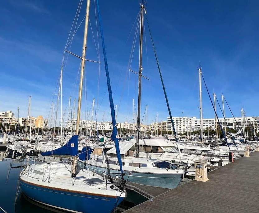 Le Nautilus Proche Plage Clim Parking Prive Wifi Proche Montpellier Carnon-Plage Kültér fotó